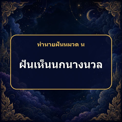 ฝันเห็นนกนางนวล กำลังบอกข่าวดีเรื่องคู่ครองหรือบุตร?