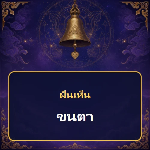 ฝันเห็นขนตา หมายถึงอะไร เลขเด็ดและคำทำนายความฝัน