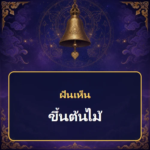 ฝันเห็นขึ้นต้นไม้ หมายถึงอะไร เลขเด็ดและคำทำนายความฝัน