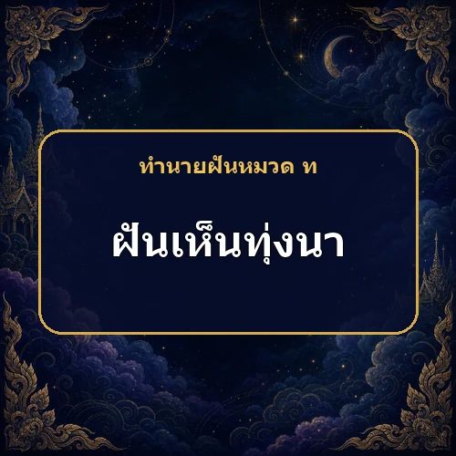 ฝันเห็นทุ่งนากว้าง เป็นลาภหรือคำเตือนเรื่องครอบครัว?