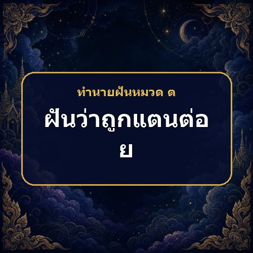 ฝันว่าถูกแตนต่อย หมายถึงอะไร เลขเด็ดและคำทำนายความฝัน